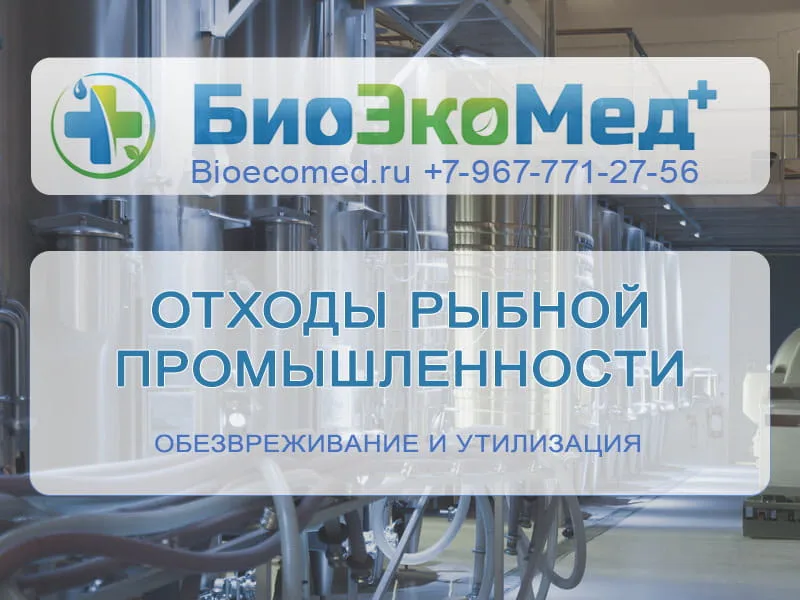 Отходы рыбной промышленности